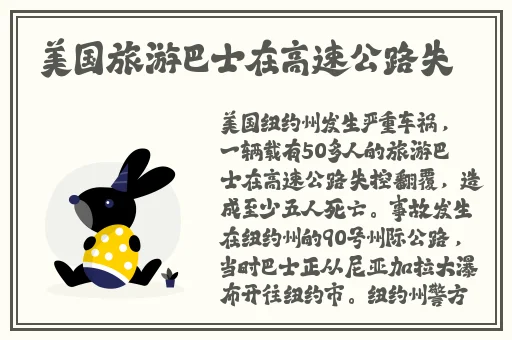 光棍天堂2019免费观看视频